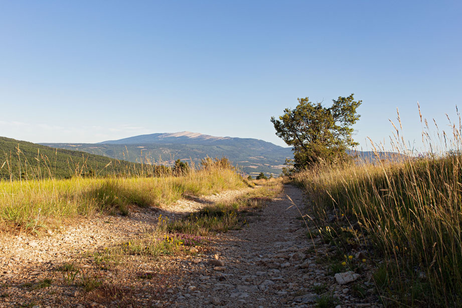 Photo d'un chemin