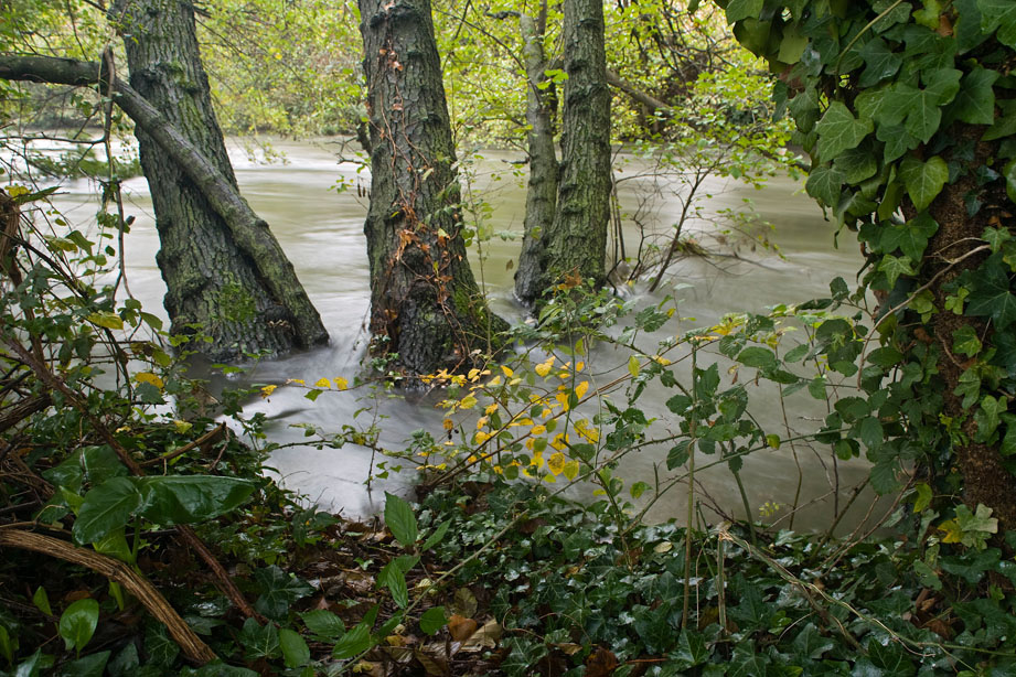 Photo d'une rivière en crue