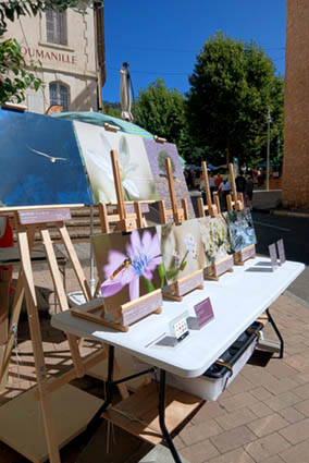 Photo d'un stand sur un marché