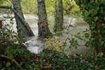 Photo d'une rivière en crue